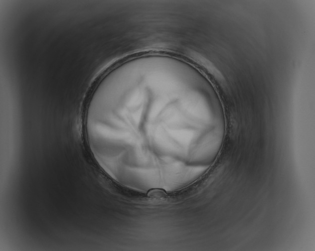 X0000100931316200807151235