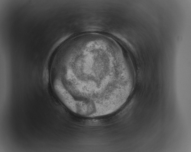 X0000100931317200807151235