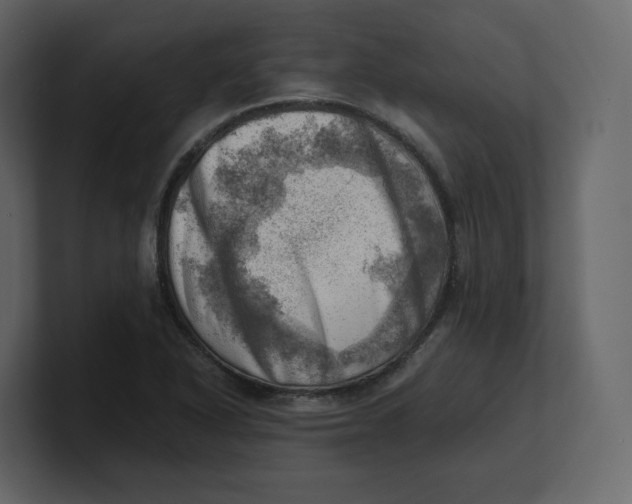 X0000100931318200807151235