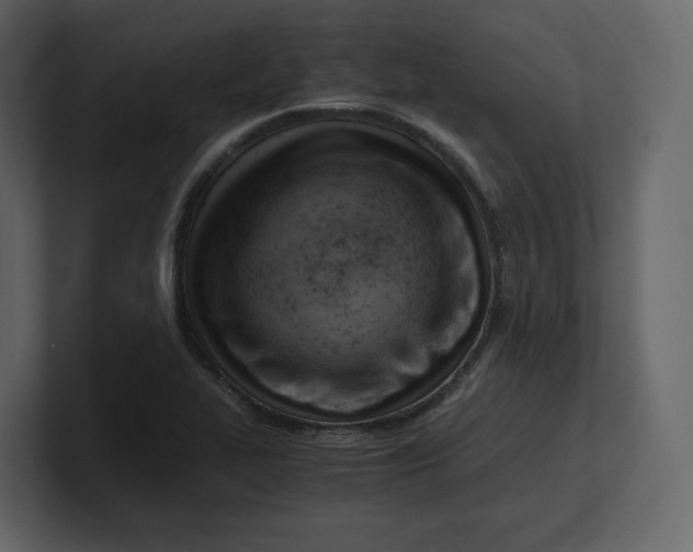 X0000100931319200807151235