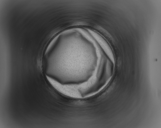 X0000100931321200807151235