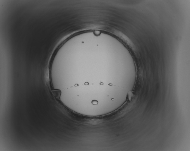 X0000100931324200807151235