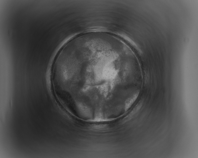 X0000100931325200807151235