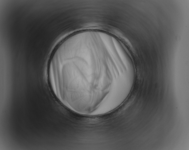 X0000100931328200807151235