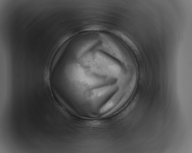 X0000100931329200807151235