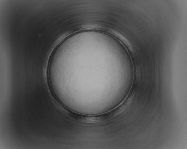 X0000100931330200807151235