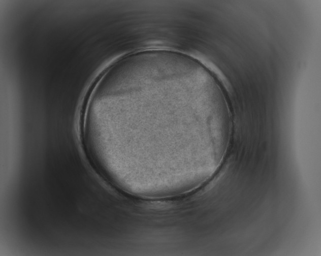 X0000100931333200807151236