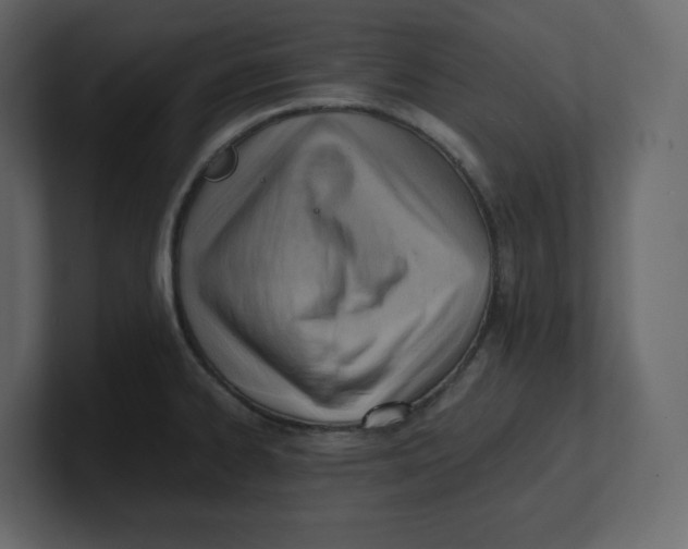 X0000100931334200807151236