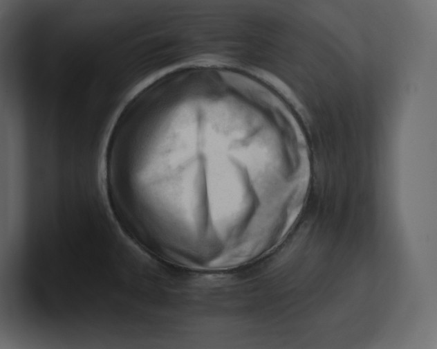 X0000100931335200807151236