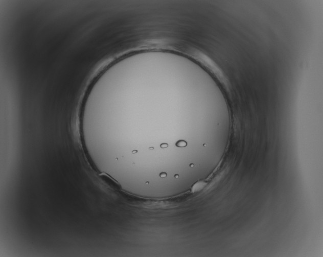 X0000100931336200807151236