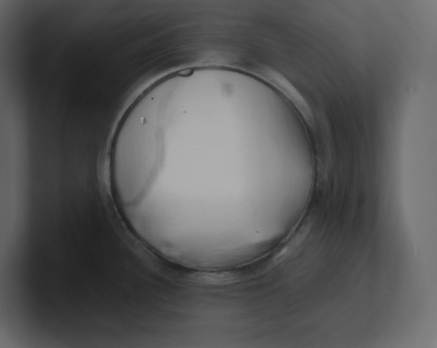 X0000100931340200807151236