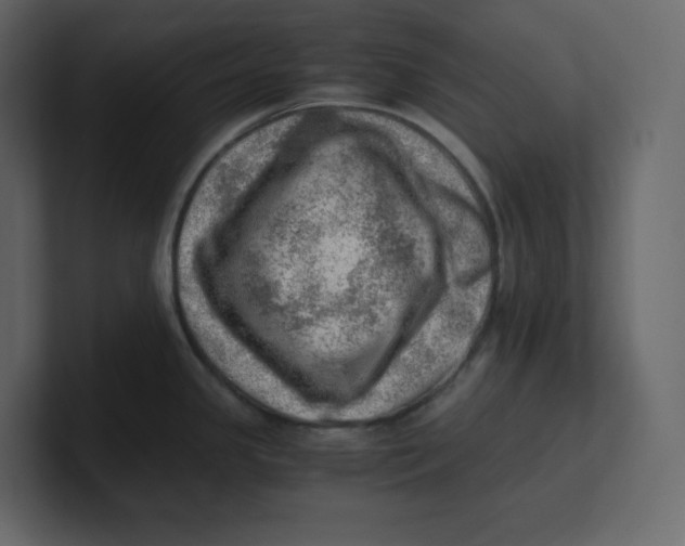 X0000100931341200807151236