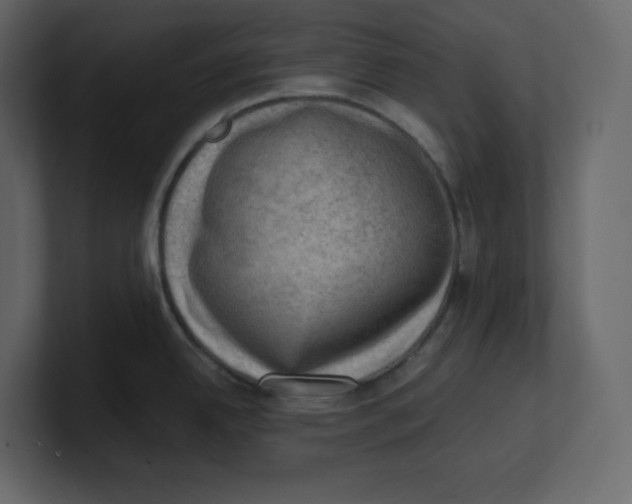 X0000100931342200807151236