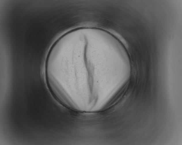 X0000100931343200807151236