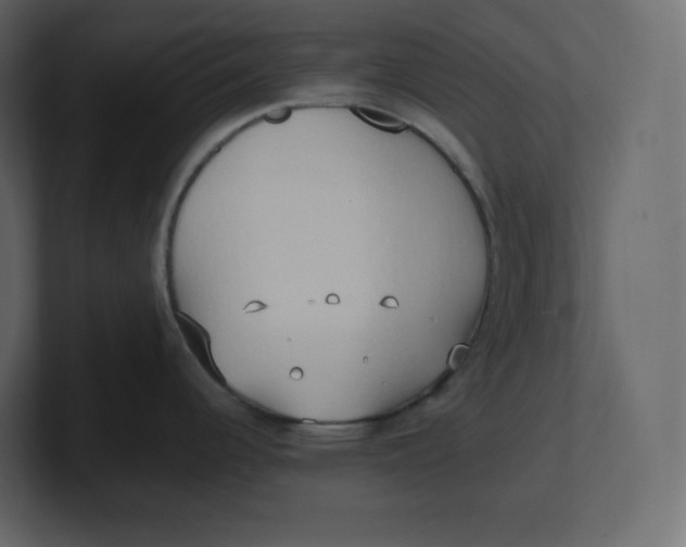 X0000100931344200807151236