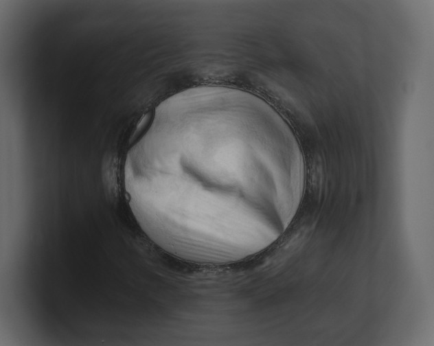 X0000100931346200807151235