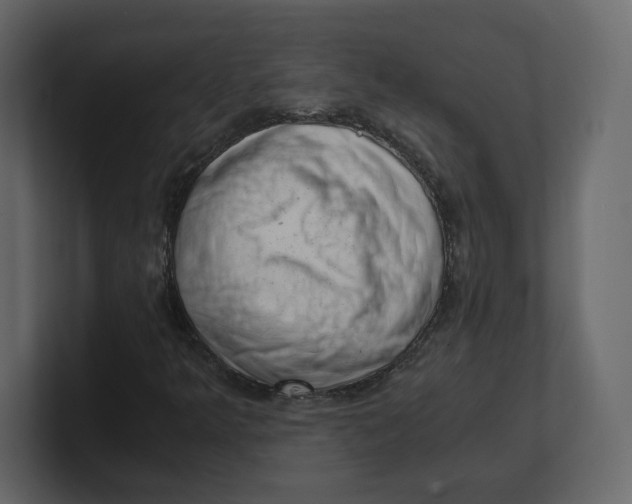 X0000100931349200807151235