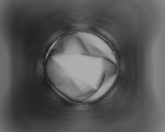 X0000100931354200807151235