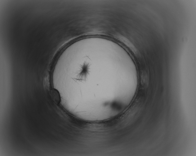 X0000100931356200807151235