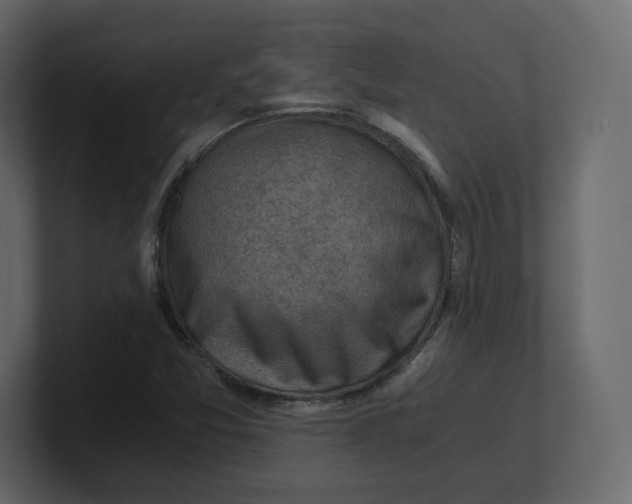 X0000100931357200807151235