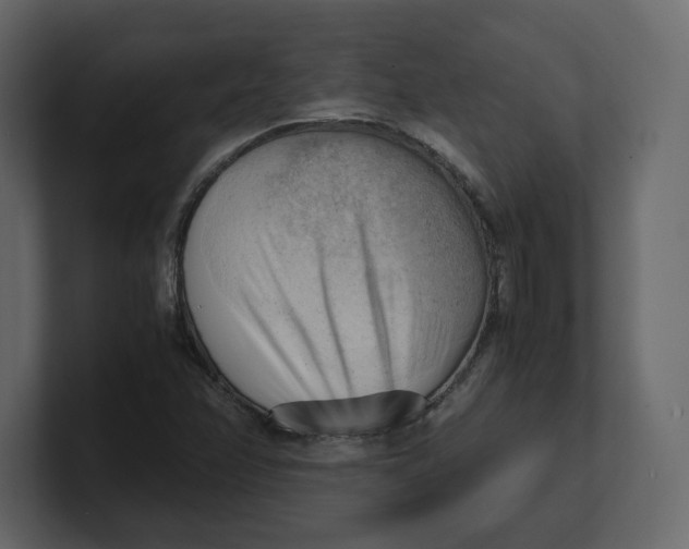 X0000100931358200807151235