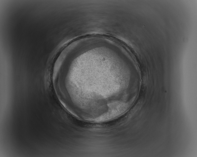 X0000100931359200807151235