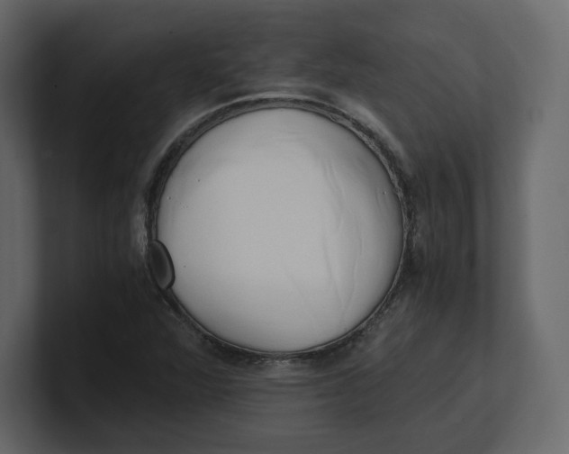 X0000100931360200807151235