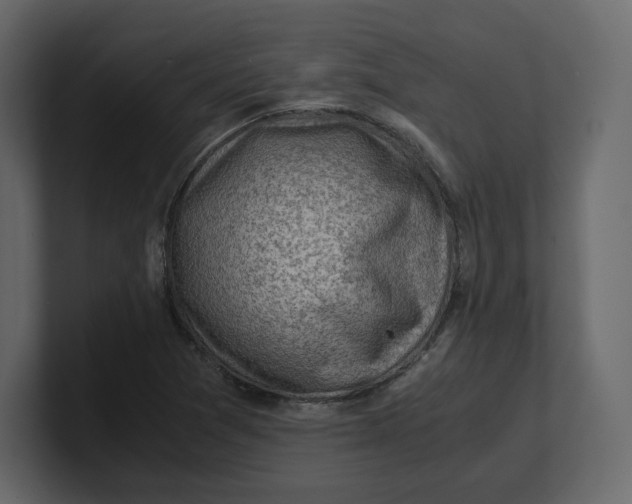 X0000100931361200807151235