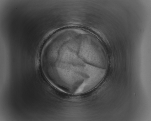 X0000100931363200807151235