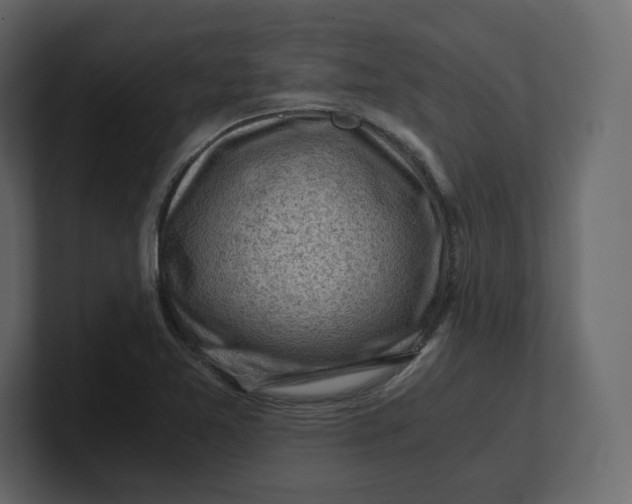 X0000100931365200807151235