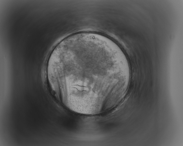 X0000100931367200807151235