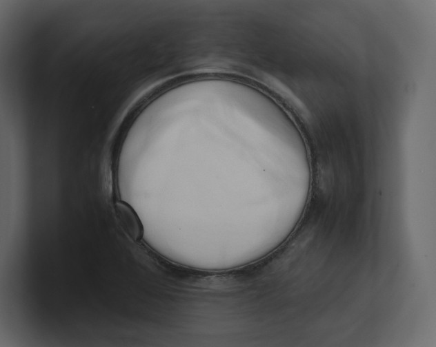 X0000100931368200807151235