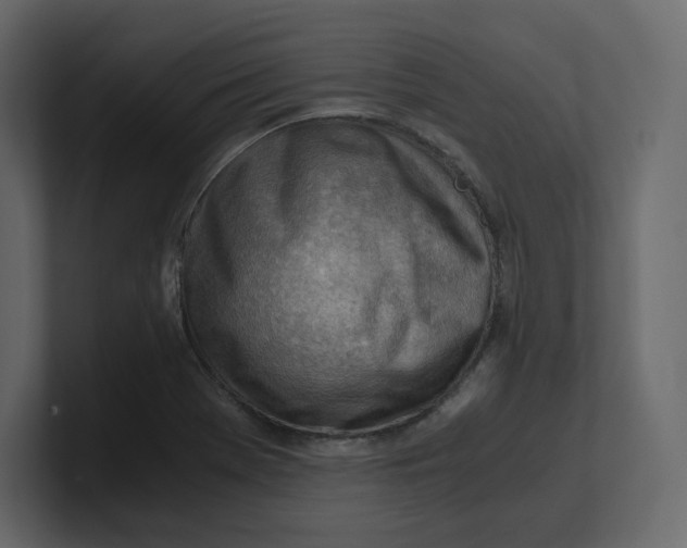 X0000100931369200807151235