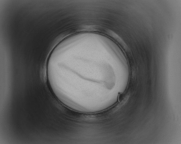 X0000100931370200807151235