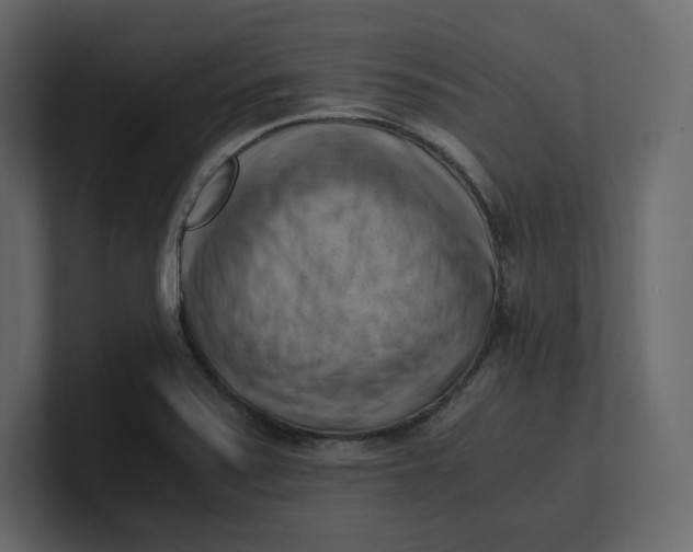 X0000100931371200807151235