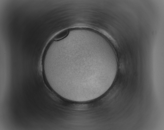 X0000100931372200807151235