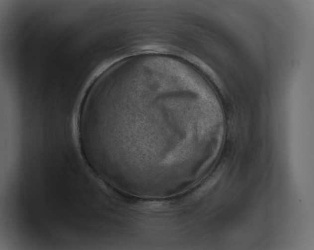 X0000100931373200807151235