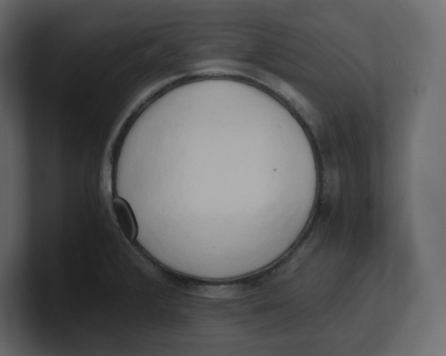 X0000100931376200807151235