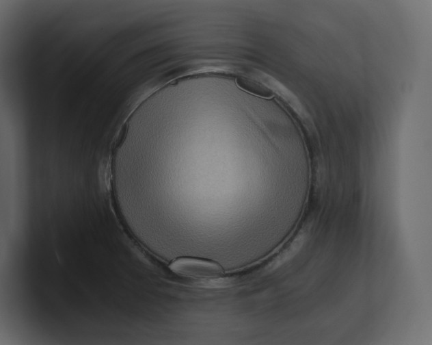 X0000100931377200807151235