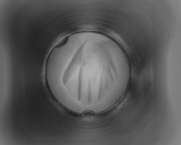 X0000100931378200807151235