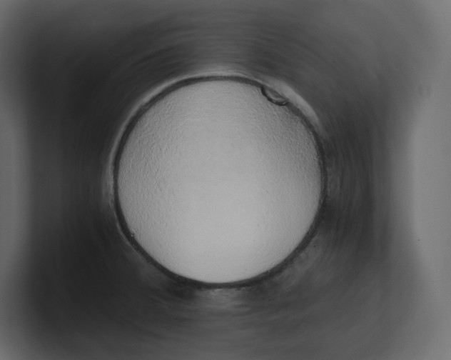 X0000100931380200807151234