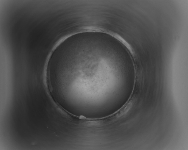 X0000100931381200807151234