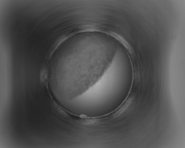 X0000100931385200807151234