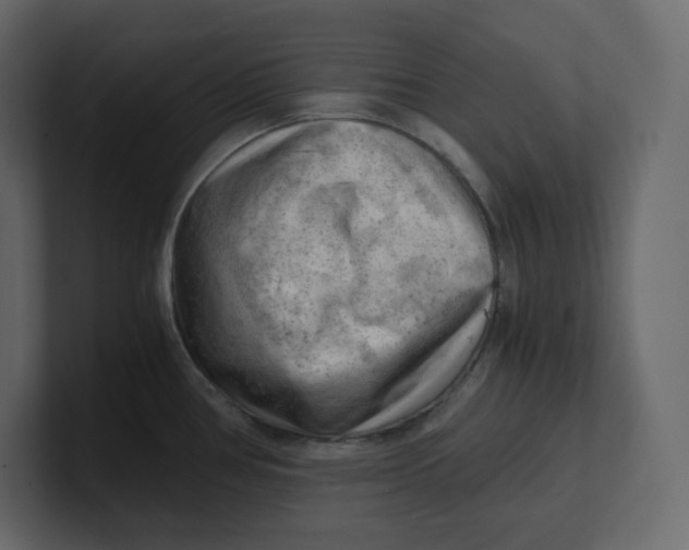 X0000100931386200807151234