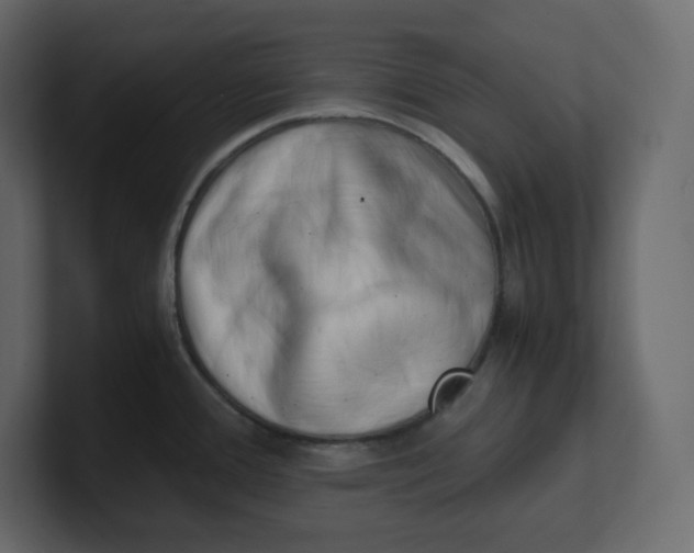 X0000100931388200807151234