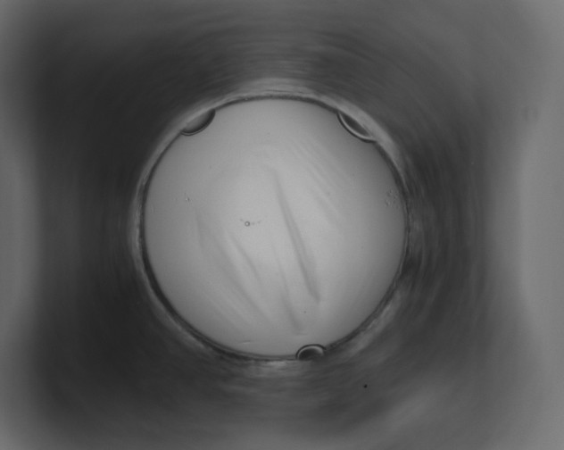 X0000100931390200807151234