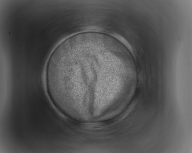 X0000100931391200807151234