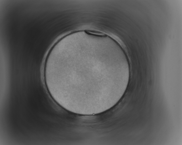 X0000100931392200807151234