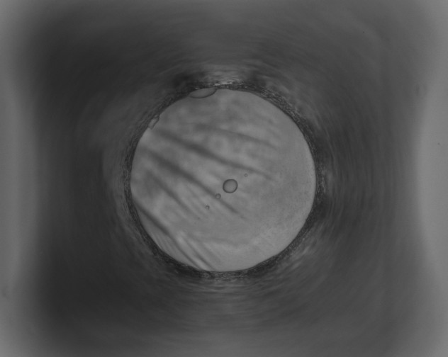 X0000100931393200807151234