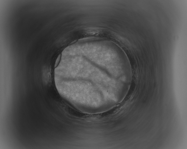 X0000100931394200807151234